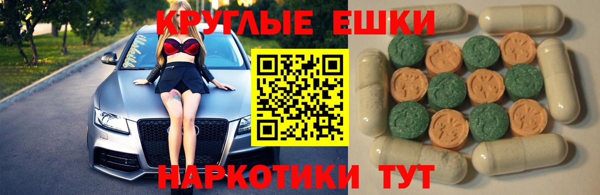 Ecstasy круглые  Ecstasy Philipp Plein  Дальнегорск  Вход с VPN 