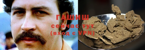 индика Гусь-Хрустальный