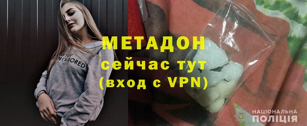 индика Гусь-Хрустальный