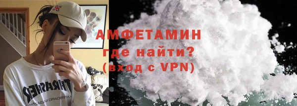 индика Гусь-Хрустальный