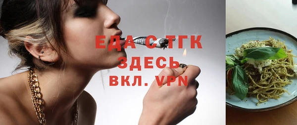 индика Гусь-Хрустальный