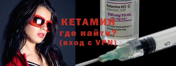 индика Гусь-Хрустальный