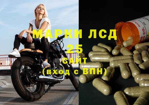 индика Гусь-Хрустальный