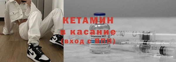 индика Гусь-Хрустальный