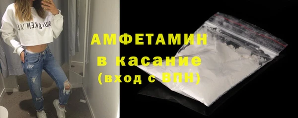индика Гусь-Хрустальный