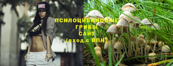 apvp Гусиноозёрск