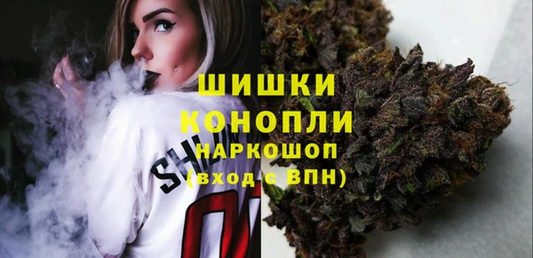 apvp Гусиноозёрск