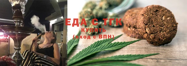 индика Гусь-Хрустальный