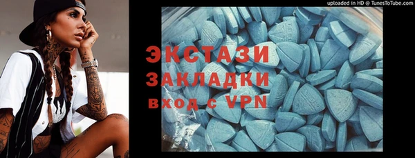 индика Гусь-Хрустальный