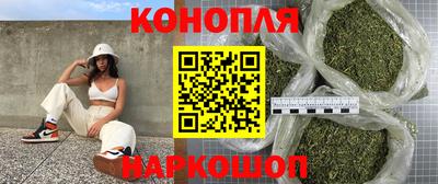стафф Моздок