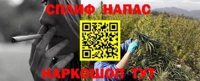 стафф Моздок