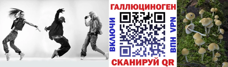 цены наркотик  Дальнегорск  Псилоцибиновые грибы Magic Shrooms 