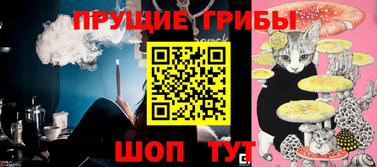 Галлюциногенные грибы Psilocybine cubensis Дальнегорск