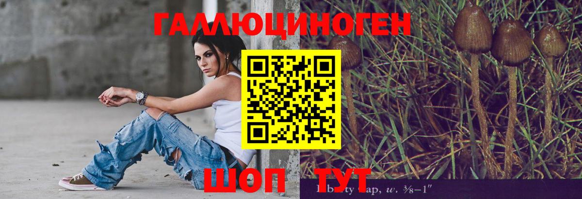 Галлюциногенные грибы GOLDEN TEACHER  Псилоцибиновые грибы Psilocybe  Вход с VPN  Дальнегорск 